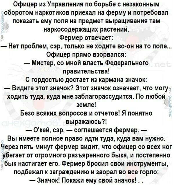Анекдот про два быка. Анекдоты значок. покажи анекдоты. покажи ему свой значок анекдот. значок покажи ему свой значок.