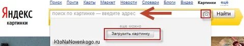 Введите адрес или поисков
