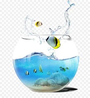 Аквариумные рыбки вода
