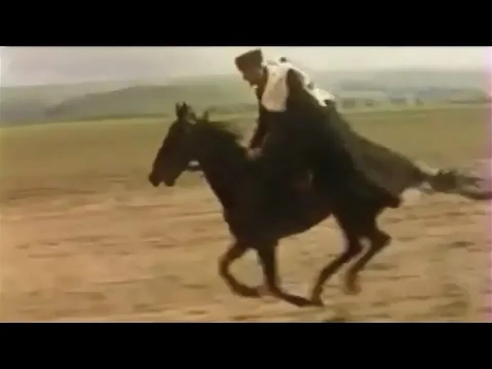 Кабардинский скакун. Конь всадник на Кавказе.