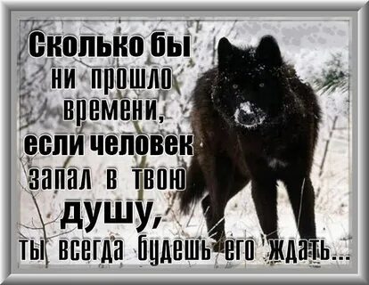 Запала в душу мне мечта моя