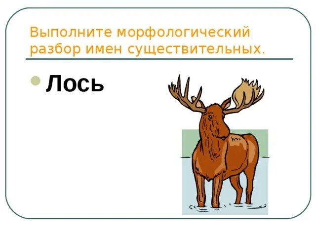 Количество букв и звуков в слове лось. Морфологический разбор лось. лось фонетический разбор. анализ слова лось.