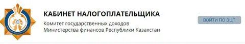 Salyk kz