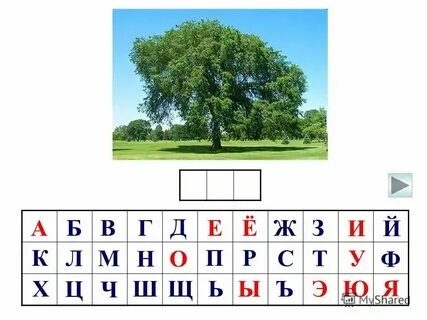 26 ш