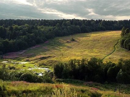 Красногорск черневская