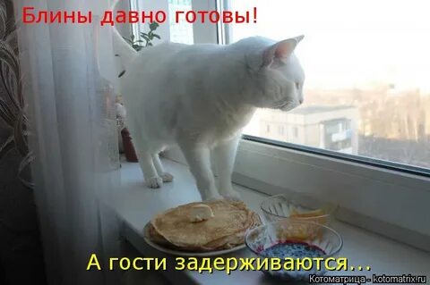 Давно готов