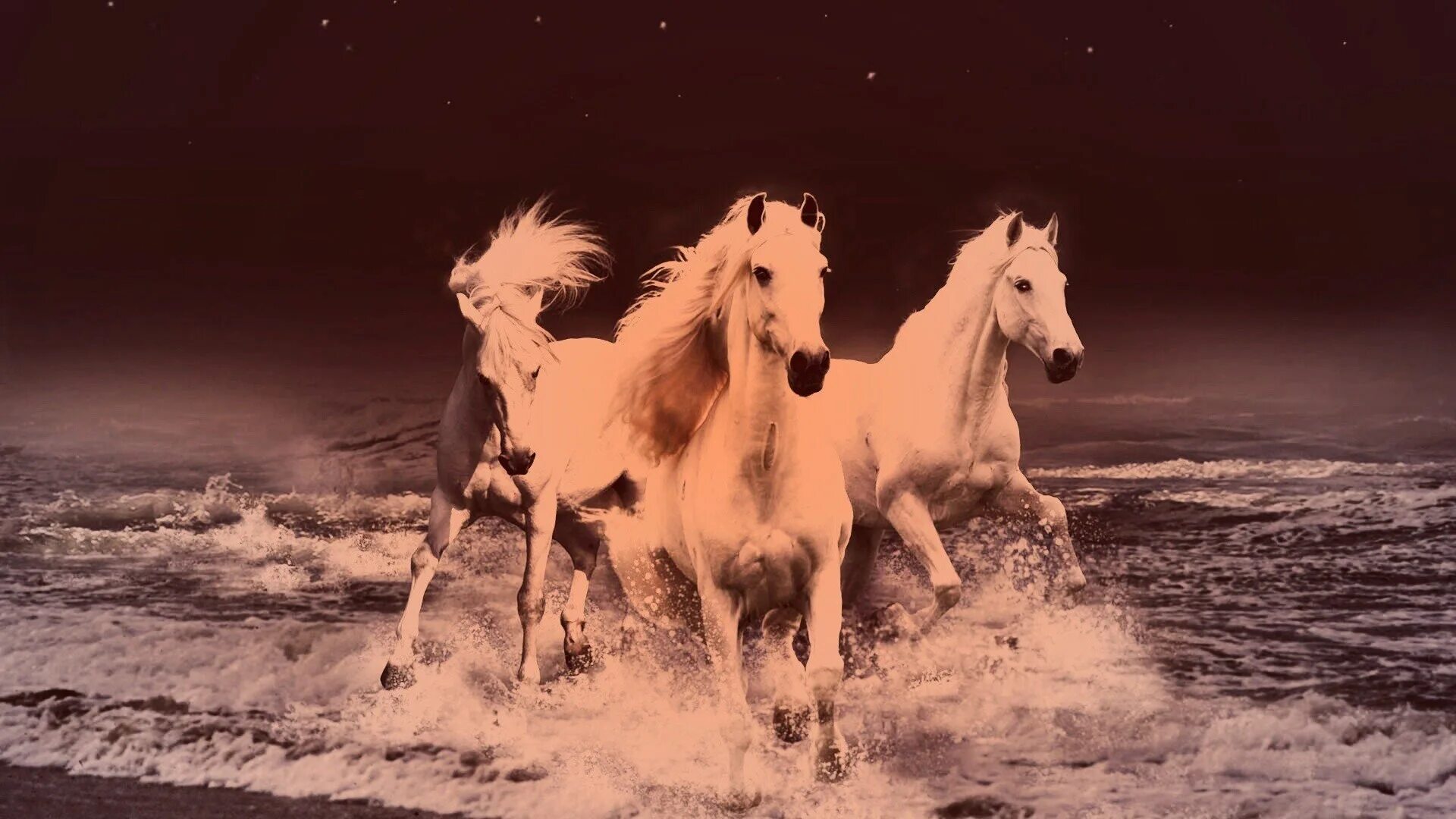 Три белых коня театр. Приключения электроников три белых коня. Приключения электроников три белых коня. Чародеи кони. Терлобелё.