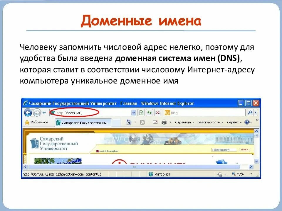 Доменное имя сайта в сети интернет. Доменное имя. доменное имя сайта. что такое домнооое имя. что такое домен сайта.