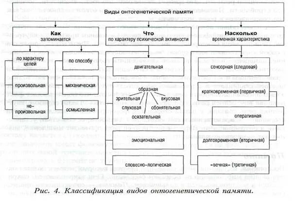 Память формы виды памяти. Виды памяти схема. Характеристика видов памяти. Виды памяти кратко. Типы памяти таблица.