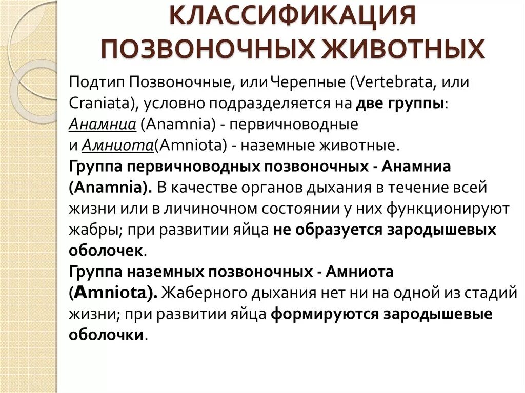 Подтип позвоночные. Классификация позвоночн. классификация позвоночных. классификация подтипа позвоночные. современная классификация позвоночных.