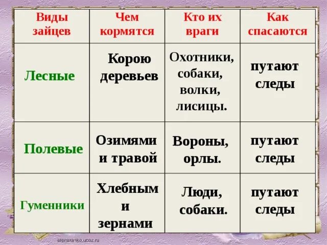 Жанр произведения зайцы толстого. Гуменники зайцы питаются. заячьи следы управление, согласование. враги зайцев озимями. виды зайцев 4 класс.