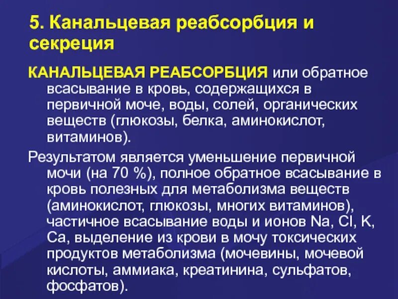 В результате обратного всасывания