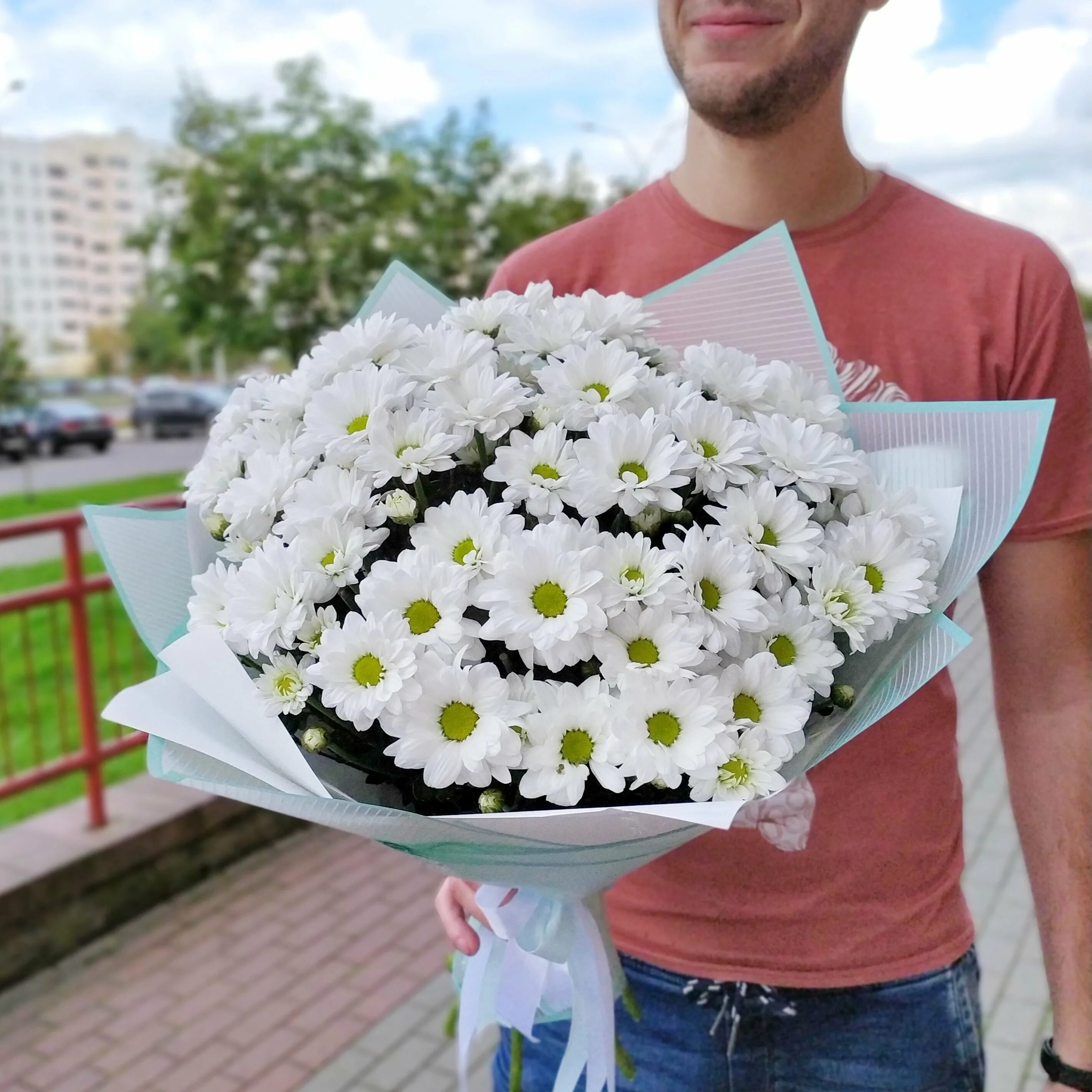 Хризантемы ромашковые