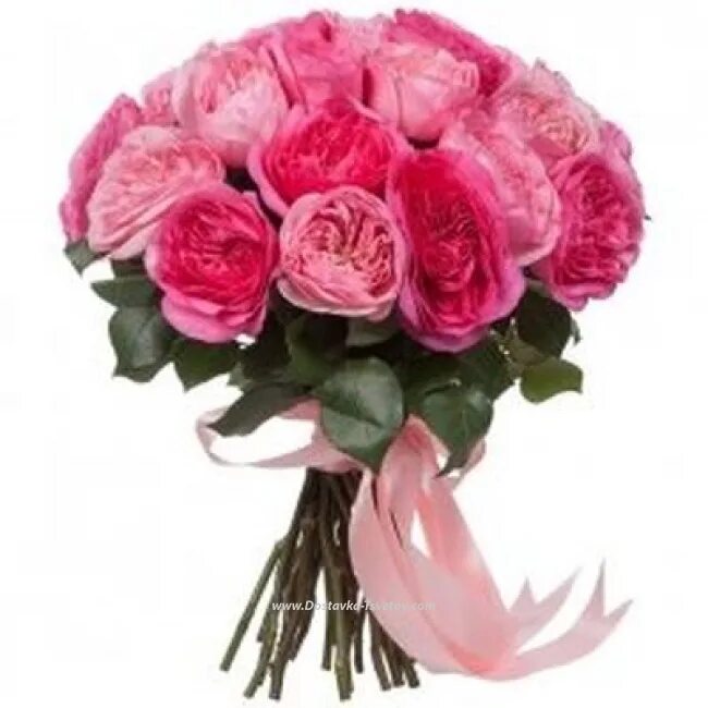 Букет розовый купить. Букет пионовидных роз. Букет из 25 пионовидных роз. Пионообразные розы букет.