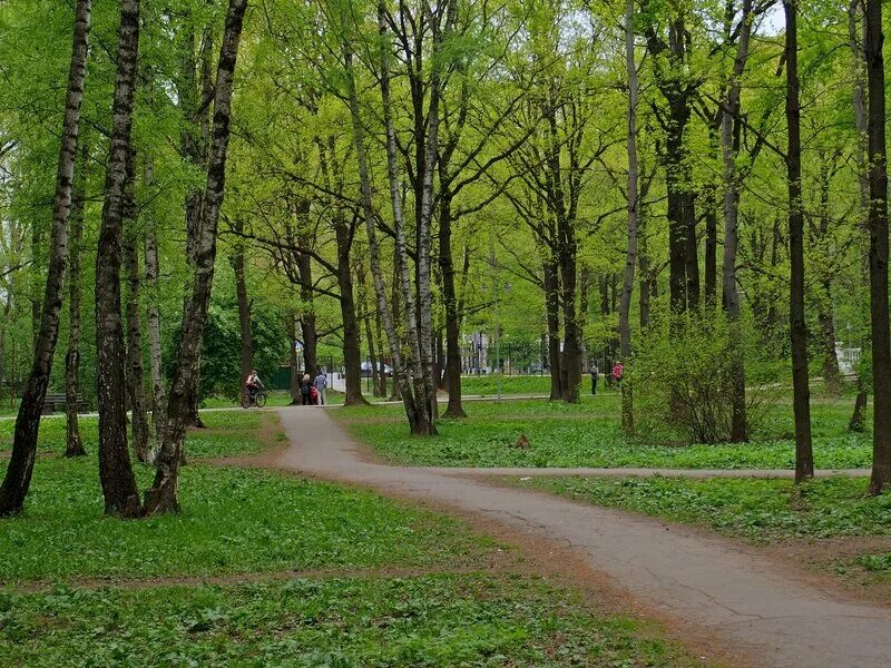 Новокуйбышевск парк дубки. Лесопарк дубки самара. Парк дубки подольск. Парк дубки самара демократическая ташкентская. Новокуйбышевск парк дубки.