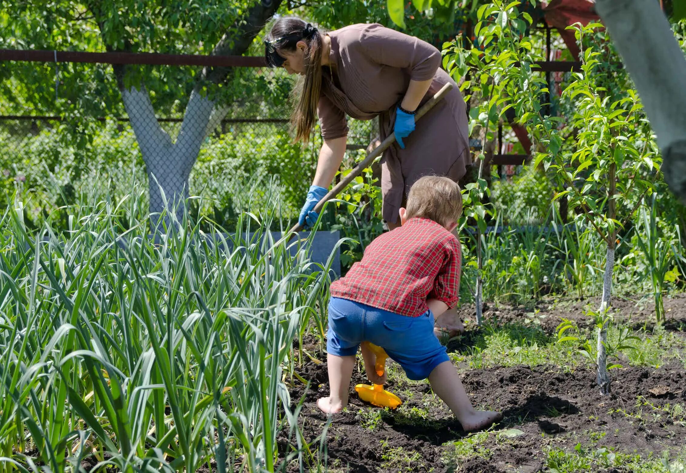 Огород летом. Грядка для детей. Огород для детей. Прополка огорода. Какие работы проводить в саду в апреле