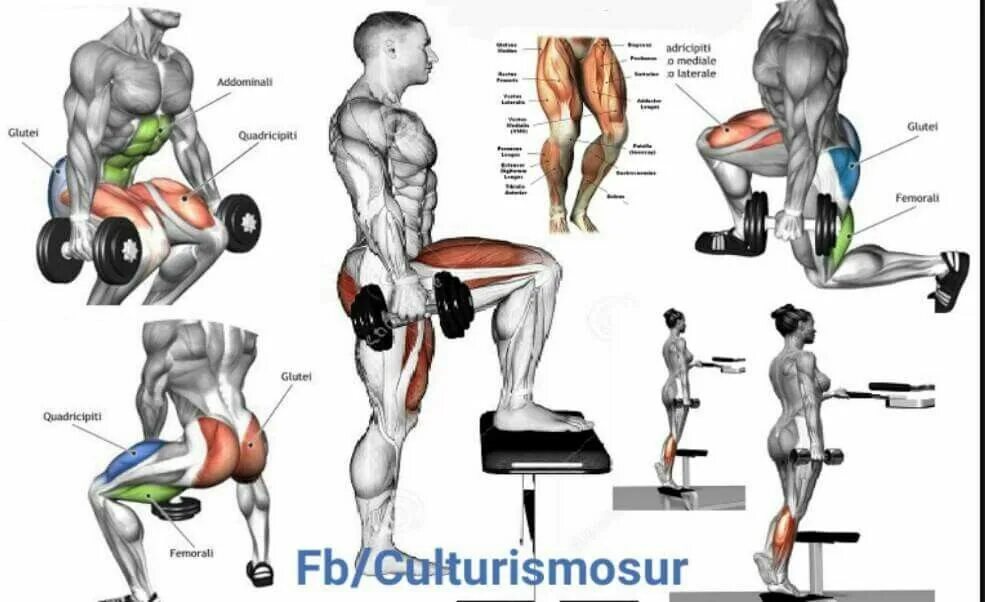 Тренировка на ноги для мужчин. Упражнения на квадрицепс в тренажерном зале. Квадрицепс трицепс упражнения. Упражнения на квадрицепс бедра. Квадрицепс бедра упражнения для мужчин.