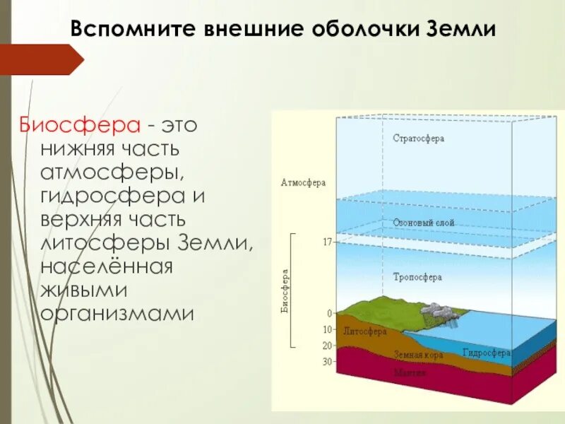 К какой оболочке земли относится. Биосфера оболочка земли. Строение земли атмосфера гидросфера литосфера. Внешние оболочки земли схема. Наружная оболочка земли это Биосфера.