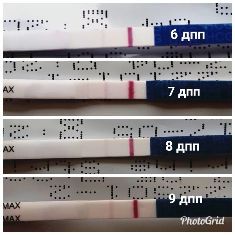 8 дпп тест отрицательный. 9 ДПП пятидневок тест. ХГЧ на 9 ДПП пятидневок. ХГЧ на 8 ДПП пятидневок 9. Тест на 10 ДПП пятидневок.