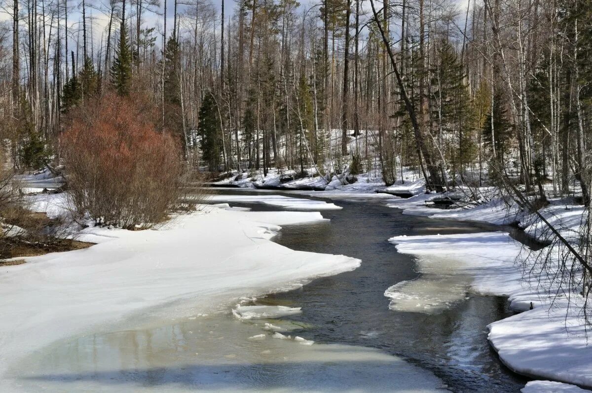 Весенние ручьи. Талые воды весной