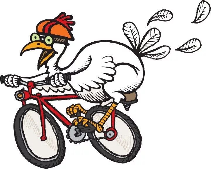 Animal ride. Курица на велосипеде. Петух для велосипеда. Петушок на Велике. Петух на мотоцикле.