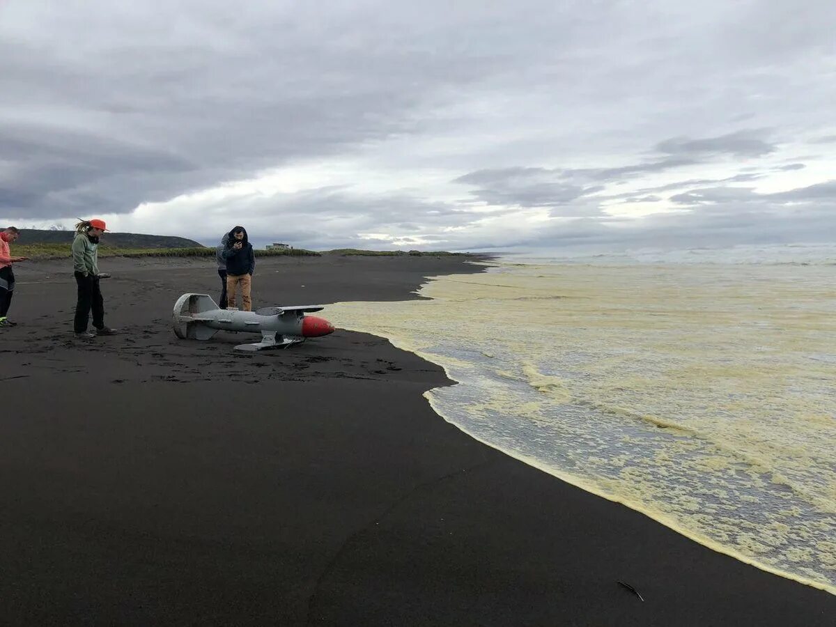 Гибнущее море. Камчатка Халактырский пляж загрязнение. Халактырский пляж Камчатка катастрофа. Халактырский пляж Камчатка. Халактырский пляж, Камчатский край.