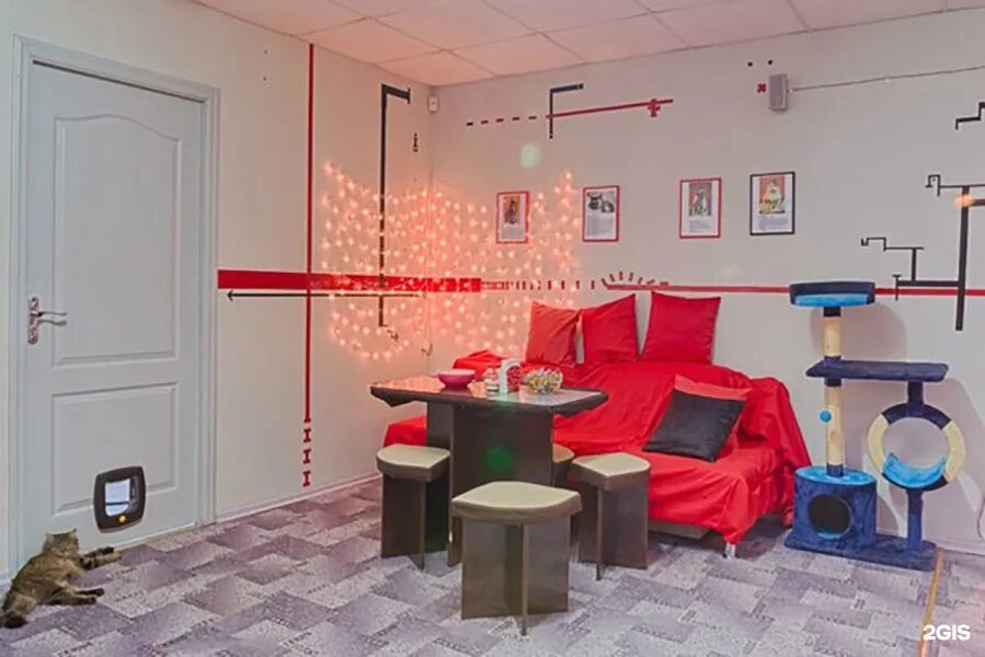 Moore». Котокафе mr. Котокафе mr. Котокафе воронеж никитинская 44 воронеж. Мур мур воронеж.