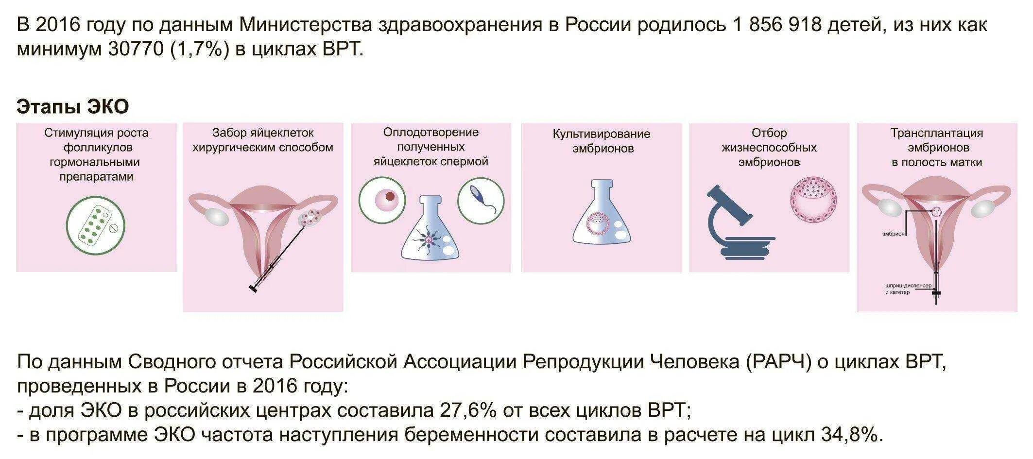 Этапы проведения процедуры эко. Пункция забора яйцеклетки. Эко оплодотворение этапы. Экстракорпоральное оплодотворение ооцитов. Боли после пункции фолликулов