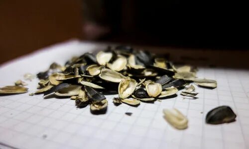 Сон давать семечки
