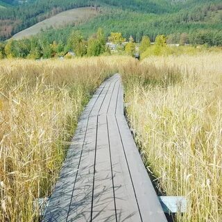 Кучигер
