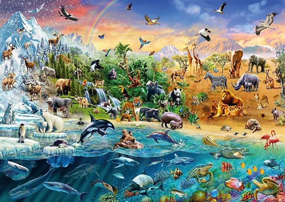 Животных много на планете
