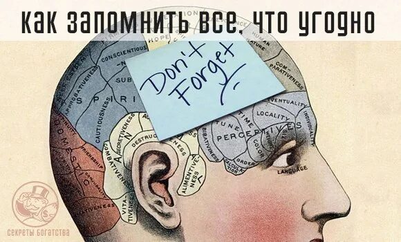 Запомнить важную информацию. Запомнить все. как все запомнить. запомнить всё книга купить. память как запомнить все что угодно книга.