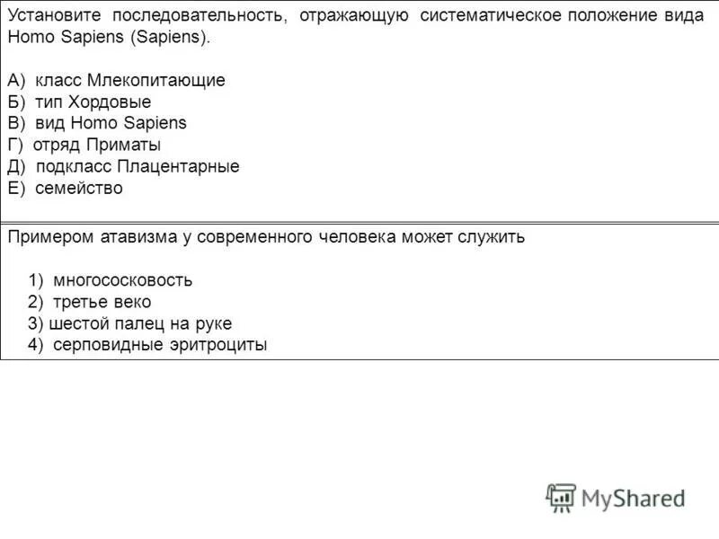 Установите последовательность отражающую систематическое положение растения. Систематическое положение homo sapiens.