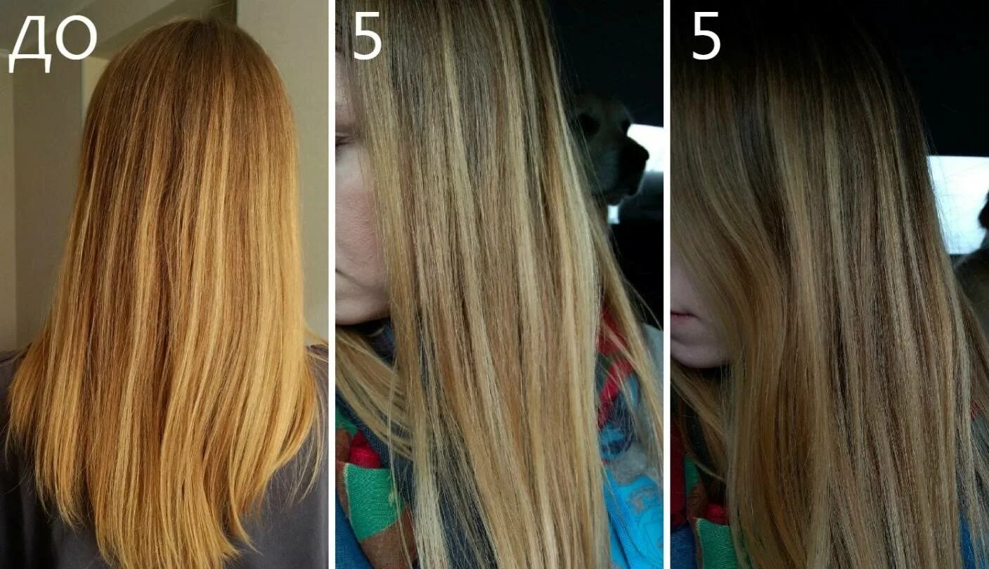 Оттеночный шампунь до и после. Волосы после оттеночного шампуня. Тонирующий шампунь до и после. Оттеночные шампуни для волос до и после.