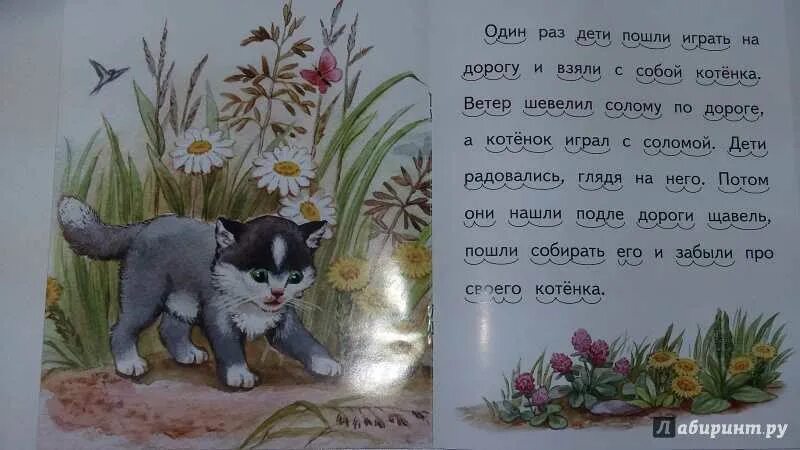 В каких произведениях герой котенок. Л Н толстой котенок. Толстой 1 класс котенок. Рассказ котенок. Лев Николаевич толстой котенок.