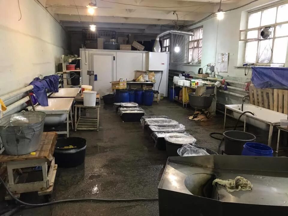 Цех по производству сигарет. Цеха по производству контрафакта. Подпольное производство. Подпольный цех. Подпольный цех по производству.