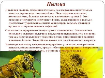 Пчелиные обножки свойства