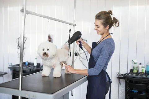 Fruit of the groomer