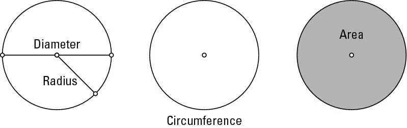 Radius diameter circumference and area. Диаметр окружности. Радиус и диаметр. Radius vs diameter.