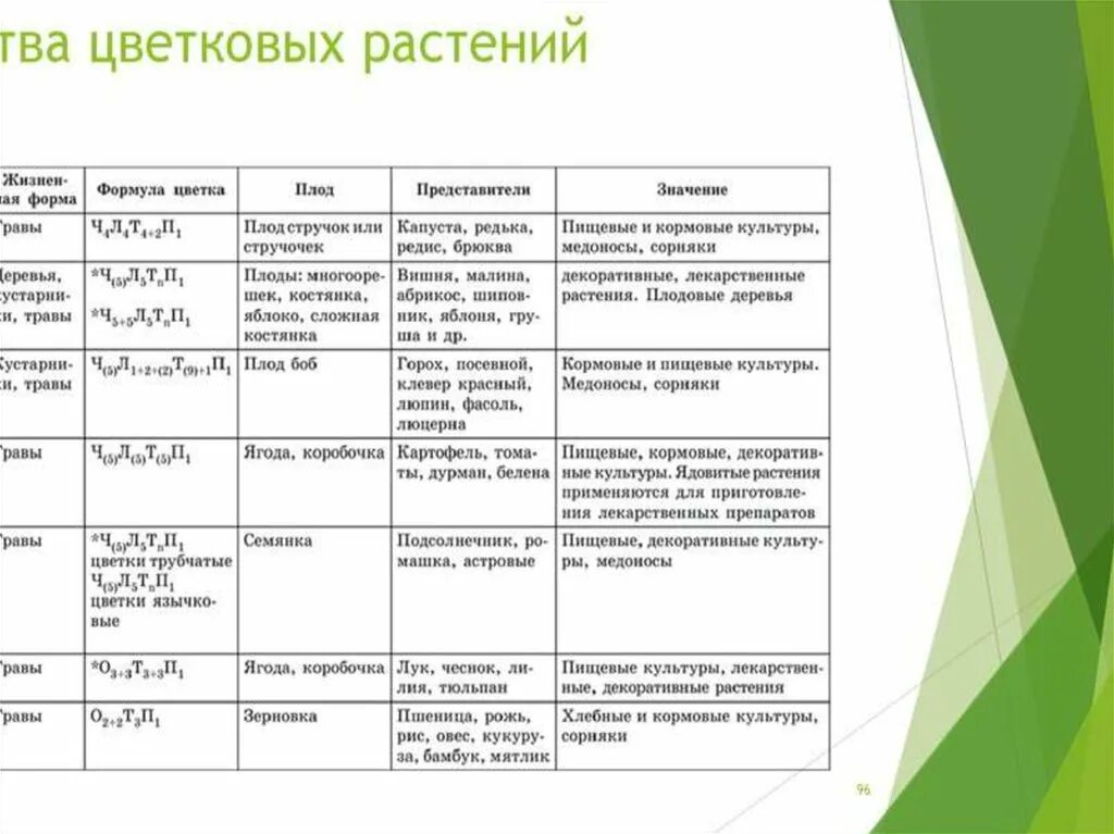 Покрытосеменные представители таблица. Признаки семейств двудольных растений таблица. Характеристика семейств двудольных растений таблица. Семейства покрытосеменных цветковых растений таблица. Таблица характеристика семейств класса двудольные растения.