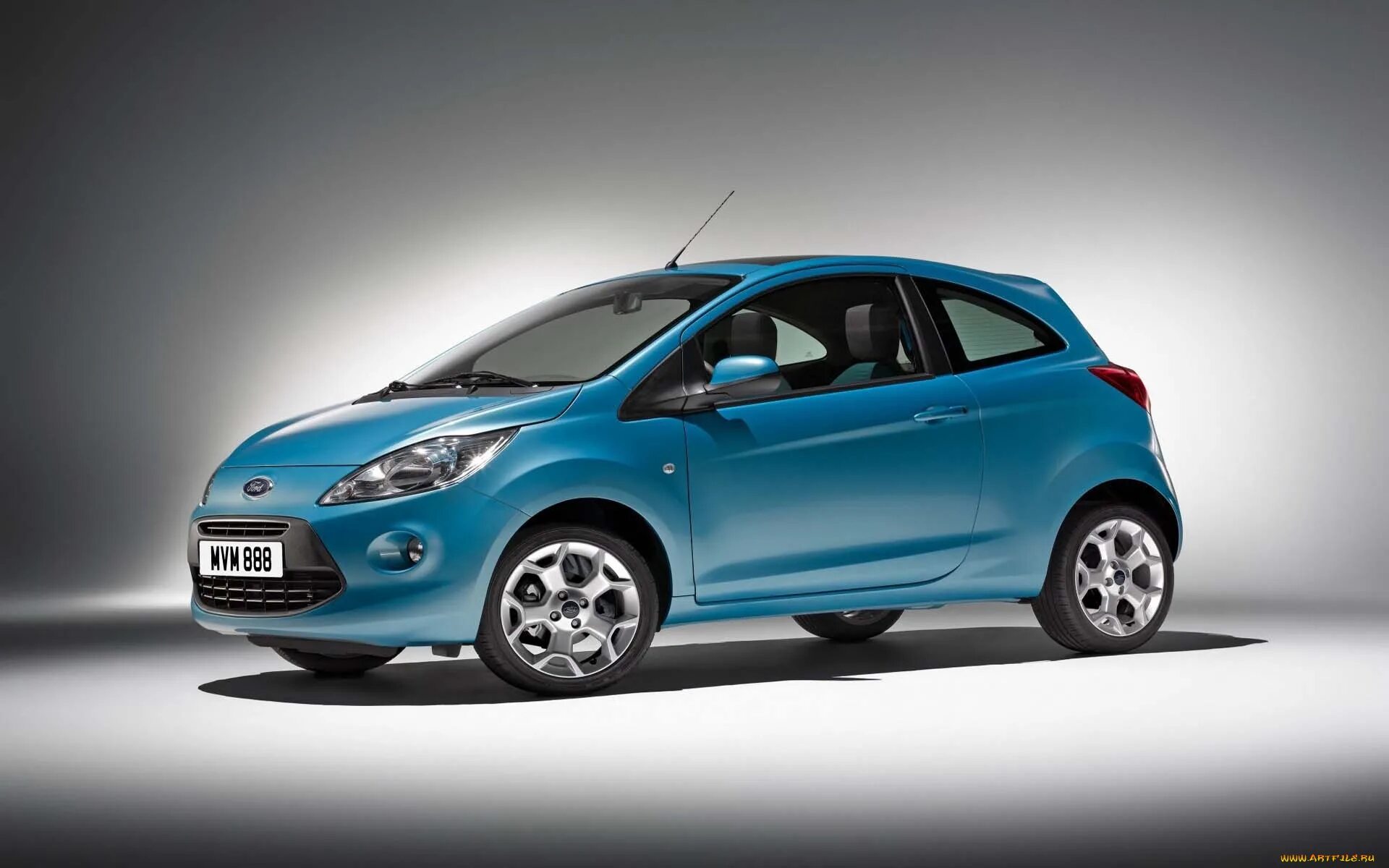 И небольших размеров со. Ford ka 2010. Орешниковая соня детеныши. Ешкаролинский терьер. Йоркширский терьер сильвер.
