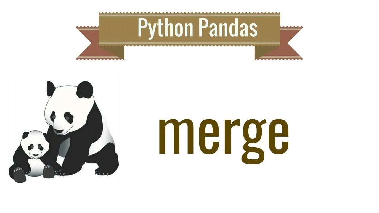 Pandas проценты. Питон панда. merge в пандас. pandas merge concat. merge pandas python.