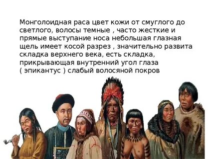 Характеристика монголоидной расы