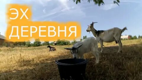 Эх деревня