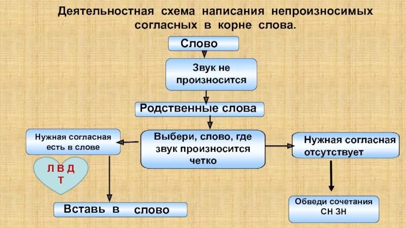 Согласные в корне слова презентация. Алгоритм проверки не произносимой СОГЛАСОЙ. Не произноссимые согласные в корне. Схема написания согласных в корне слова. Непроизносимые согласные схема.