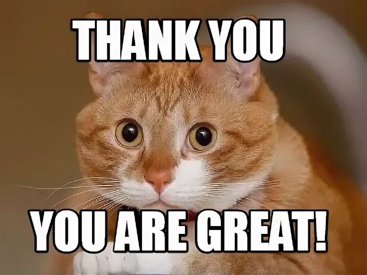 Спасибо вектор. Спасибо креатив. Thank you very much мем. Картина thank you for attention. That s great thank you.