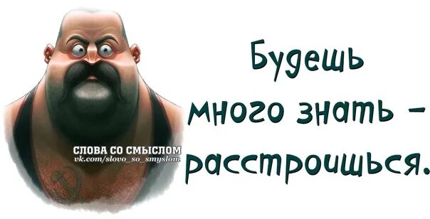 Грустный котик. Будешь много знать расстроишься картинки. Красивые метафоры о любви. Не расстраивайся картинки. Правописание слова расстроилась.