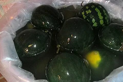 Рецепт бочковых арбузов целиком