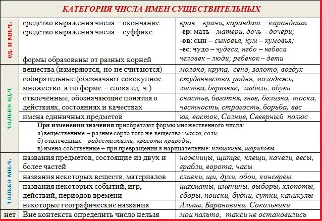 Категории существительных в русском языке. Числа имен существительн. Числа имен существительных в русском языке. Категория числа имен существительных в русском языке. Грамматические категории существительных в русском.