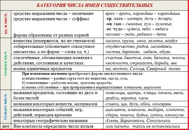 Значение имени существительного в русском языке. Категория числа имен существительных в русском. Числа имен существительн. Категория числа имен существительных таблица. Числа имен существительных в русском языке.